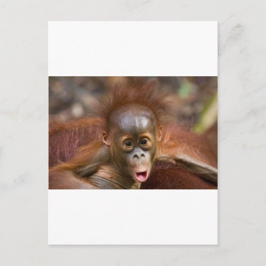 Affäre 1 postkarte (Vorderseite)