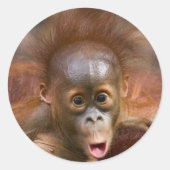 Affäre 1 runder aufkleber (Vorderseite)