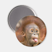 Affäre 2 magnet (Vorderseite/Rückseite)