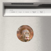 Affäre 2 magnet (In Situ (Geschirrspüler))