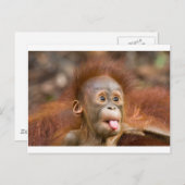 Affäre 2 postkarte (Vorne/Hinten)