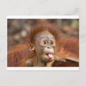 Affäre 2 postkarte (Vorderseite)