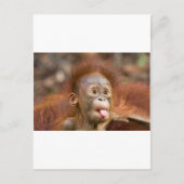 Affäre 2 postkarte (Vorderseite)