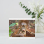 Affäre 3 postkarte (Stehend Vorderseite)