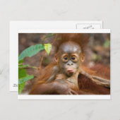 Affäre 3 postkarte (Vorne/Hinten)