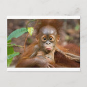 Affäre 3 postkarte (Vorderseite)