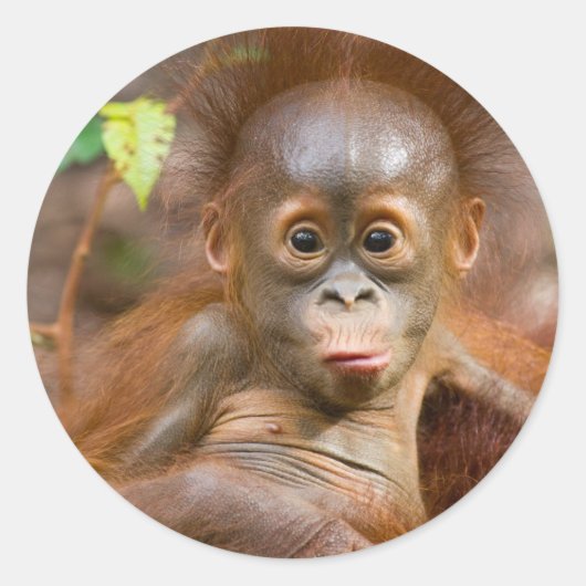 Affäre 3 runder aufkleber (Vorderseite)