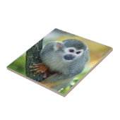 Affe 004 fliese (Seite)