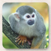 Affe 004 getränkeuntersetzer (Vorderseite)