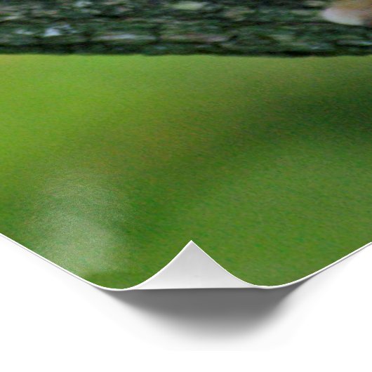 Affe 004 poster (Ecke)