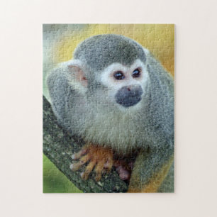 Affe 004 puzzle