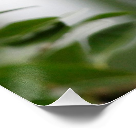 Affe_2014_1201 Poster (Ecke)