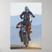 Affe auf dem Rücken Poster (Vorne)