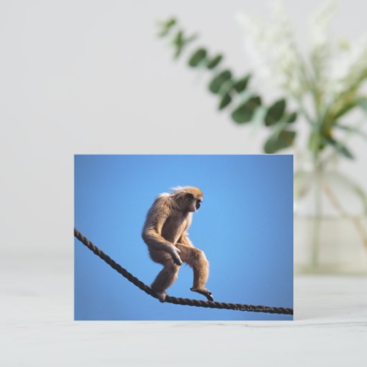 Affe auf Seil Postkarte (Stehend Vorderseite)