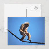 Affe auf Seil Postkarte (Vorne/Hinten)