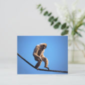 Affe auf Seil Postkarte (Stehend Vorderseite)