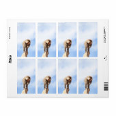 Affe Baboon auf einem Berg (Vorne)