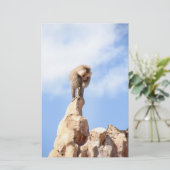 Affe Baboon auf einem Berg Briefpapier (Stehend Vorderseite)