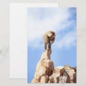 Affe Baboon auf einem Berg Briefpapier (Vorne/Hinten)