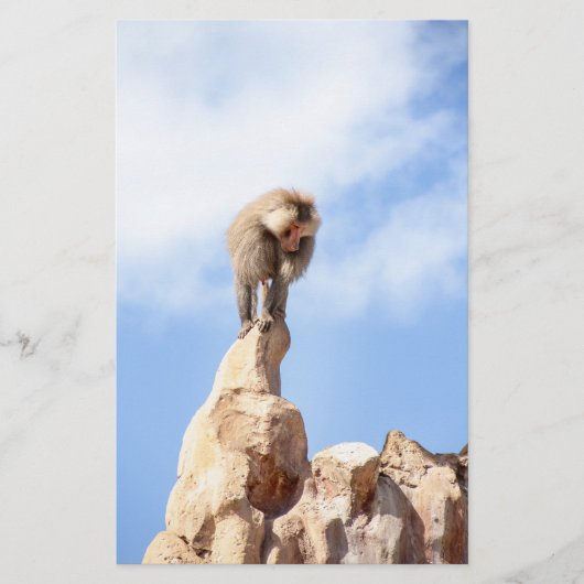 Affe Baboon auf einem Berg Briefpapier (Vorderseite)