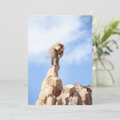 Affe Baboon auf einem Berg Dankeskarte (Stehend Vorderseite)