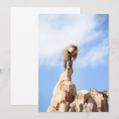 Affe Baboon auf einem Berg Dankeskarte (Vorne/Hinten)