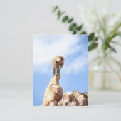 Affe Baboon auf einem Berg Dankeskarte (Stehend Vorderseite)