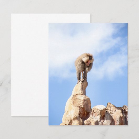 Affe Baboon auf einem Berg Dankeskarte (Vorne/Hinten)