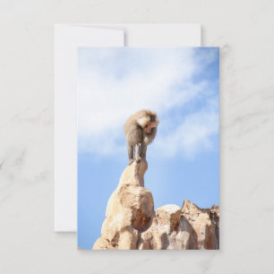 Affe Baboon auf einem Berg Dankeskarte