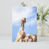 Affe Baboon auf einem Berg Dankeskarte (Stehend Vorderseite)
