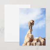 Affe Baboon auf einem Berg Dankeskarte (Vorne/Hinten)