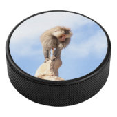 Affe Baboon auf einem Berg Eishockey Puck (3/4)