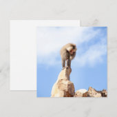 Affe Baboon auf einem Berg Feiertagskarte (Vorne/Hinten)