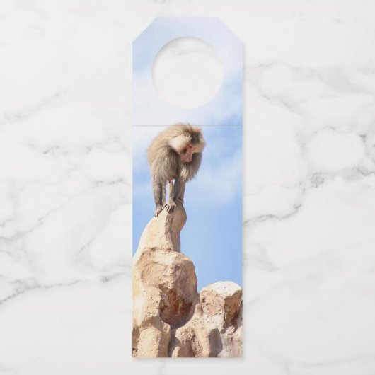 Affe Baboon auf einem Berg Flaschenanhänger (Vorderseite)