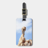 Affe Baboon auf einem Berg Gepäckanhänger (Vorderseite vertikal)