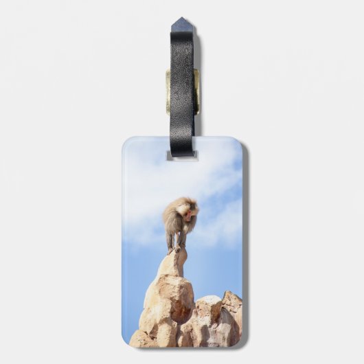 Affe Baboon auf einem Berg Gepäckanhänger (Rückseite vertikal)