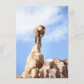 Affe Baboon auf einem Berg Hinweiskarte (Rückseite)
