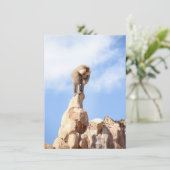 Affe Baboon auf einem Berg Hinweiskarte (Stehend Vorderseite)