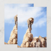 Affe Baboon auf einem Berg Hinweiskarte (Vorne/Hinten)