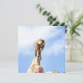 Affe Baboon auf einem Berg Karte (Stehend Vorderseite)