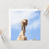 Affe Baboon auf einem Berg Karte (Vorderseite/Rückseite Beispiel)