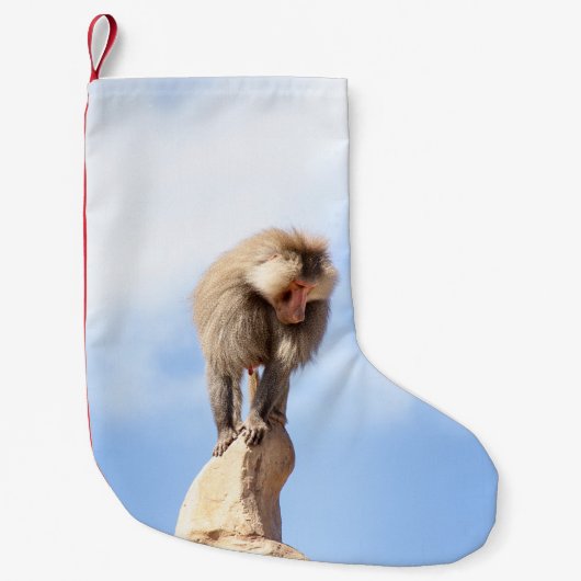 Affe Baboon auf einem Berg Kleiner Weihnachtsstrumpf (Vorderseite)