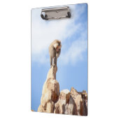Affe Baboon auf einem Berg Klemmbrett (Links)