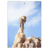 Affe Baboon auf einem Berg Klemmbrett (Rückseite)