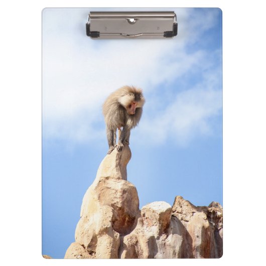Affe Baboon auf einem Berg Klemmbrett (Vorderseite)