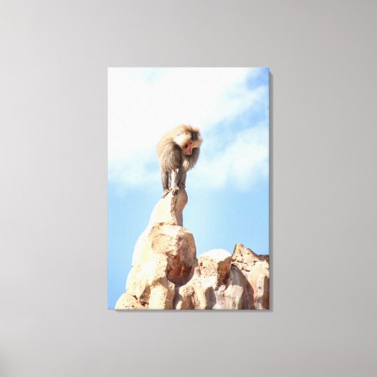 Affe Baboon auf einem Berg Leinwanddruck (Vorderseite)