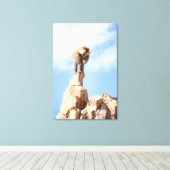 Affe Baboon auf einem Berg Leinwanddruck (Insitu (Holzboden))