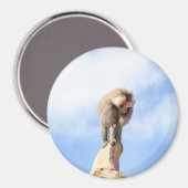 Affe Baboon auf einem Berg Magnet (Vorderseite/Rückseite)