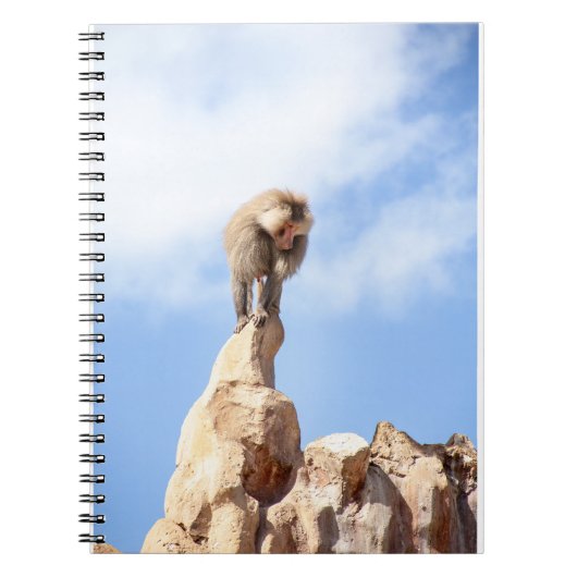 Affe Baboon auf einem Berg Notizblock (Vorderseite)