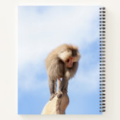 Affe Baboon auf einem Berg Notizblock (Rückseite)